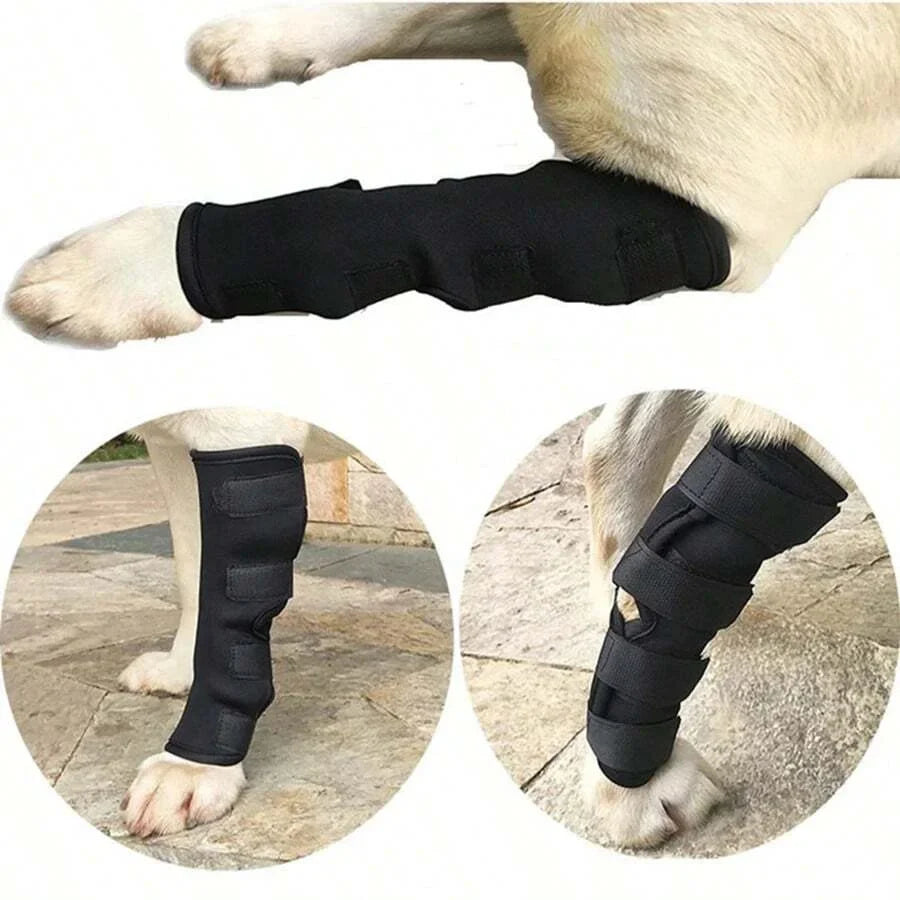 Joint support for dogs stabilizing & protecting Stornfield