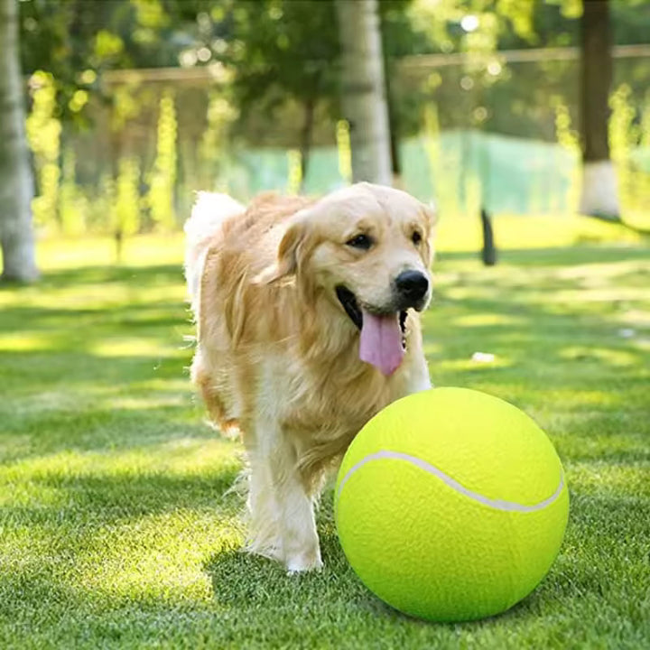 Stornfield extra-large dog tennis ball