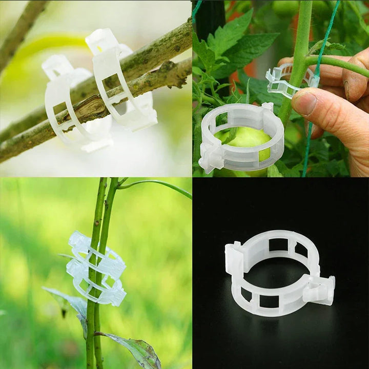Plastic clamps for plant support | Grafting and fixing tool! | Stornfield