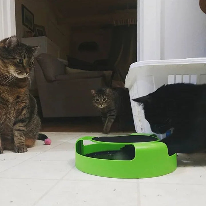 Stornfield Interactive Cat Toy with Rotating Mouse & Scratching Area