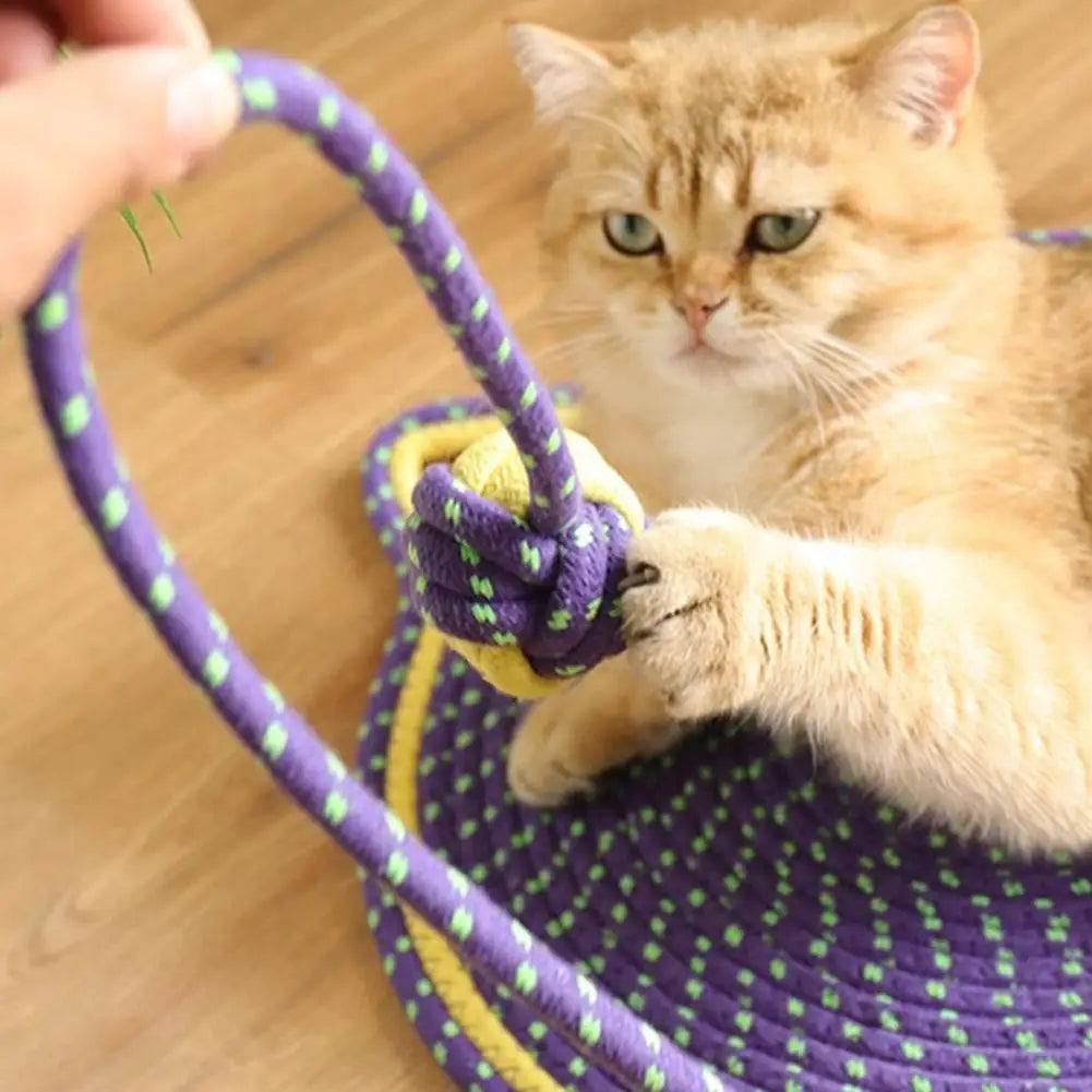 2-in-1 Cat Scratching Carpet & Play Mat Stornfield