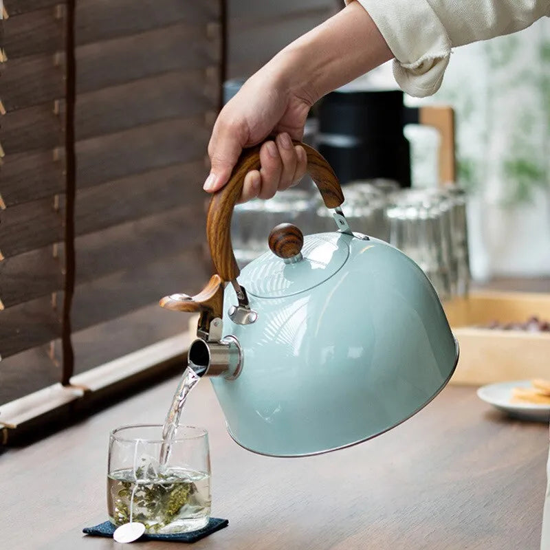 Stornfield | 1 piece 2.5/3 L Stainless Steel Teapot, Thickened Teapot, Gas Induction Cooker, Universal Teapot, Tea Kettle
