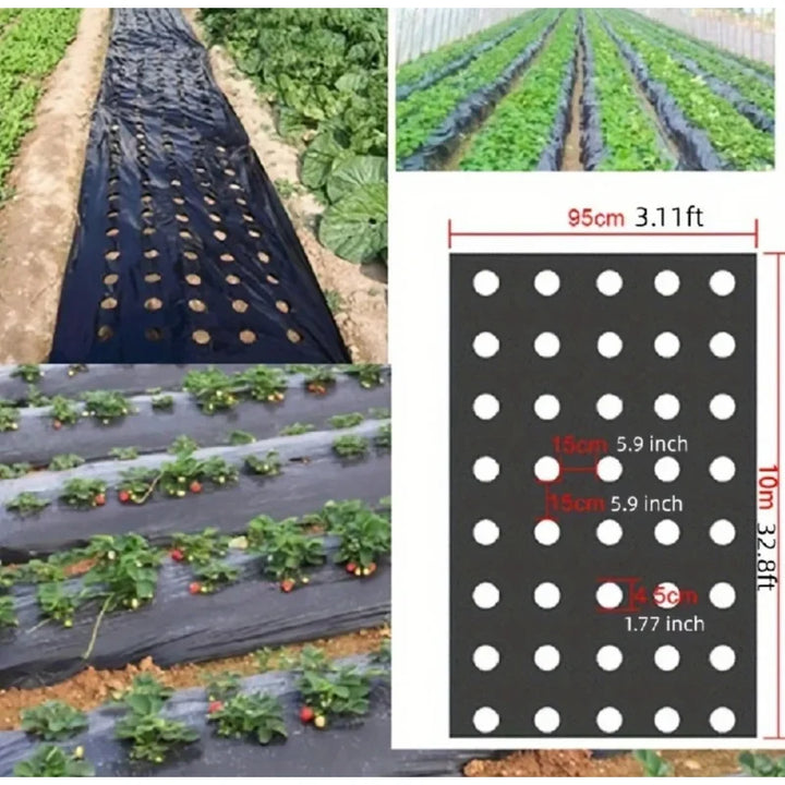 Stornfield | AgroShield Weed Fabric | Black Mulch Film | Plant Protection & Yield Increase | Ideal for Greenhouses