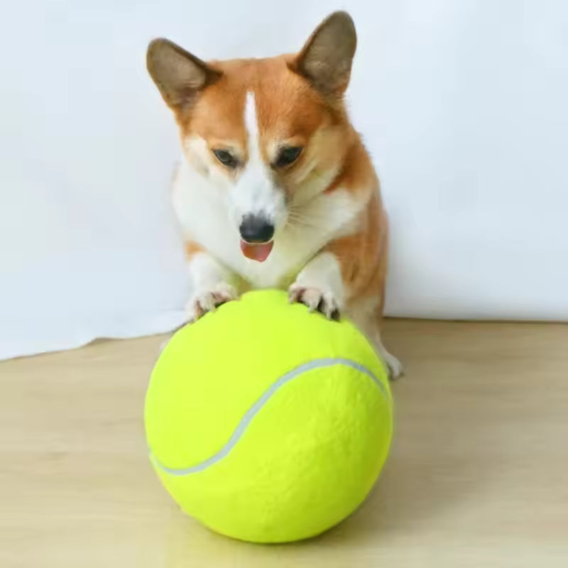 Stornfield extra-large dog tennis ball