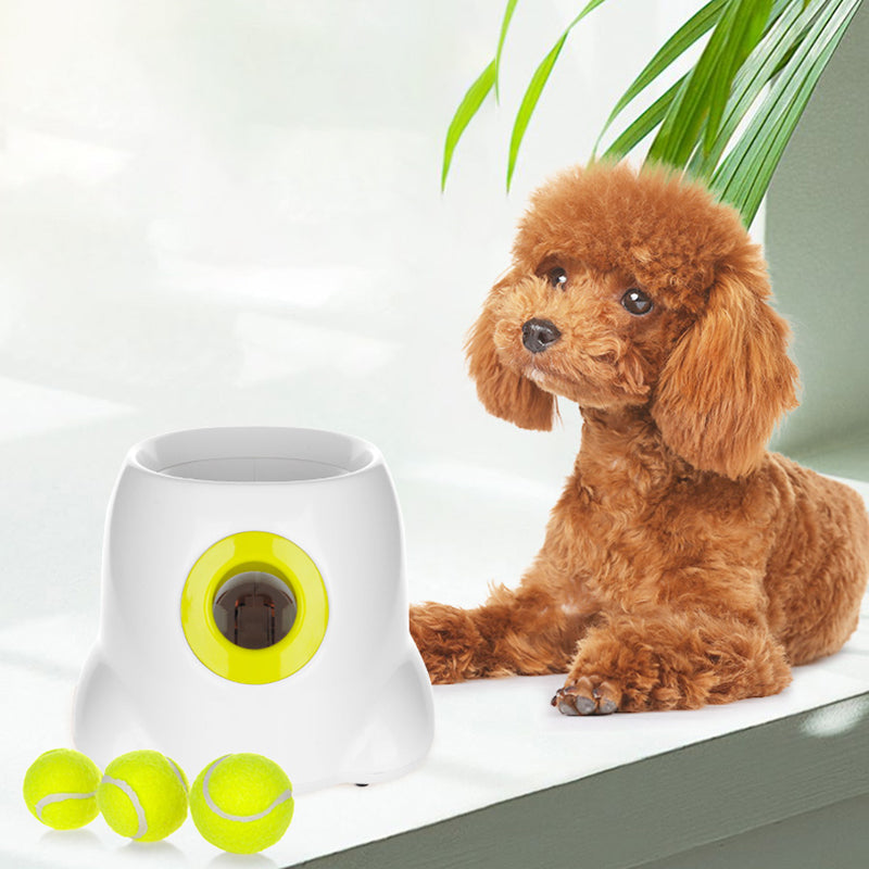 PetLaunch | Stornfield