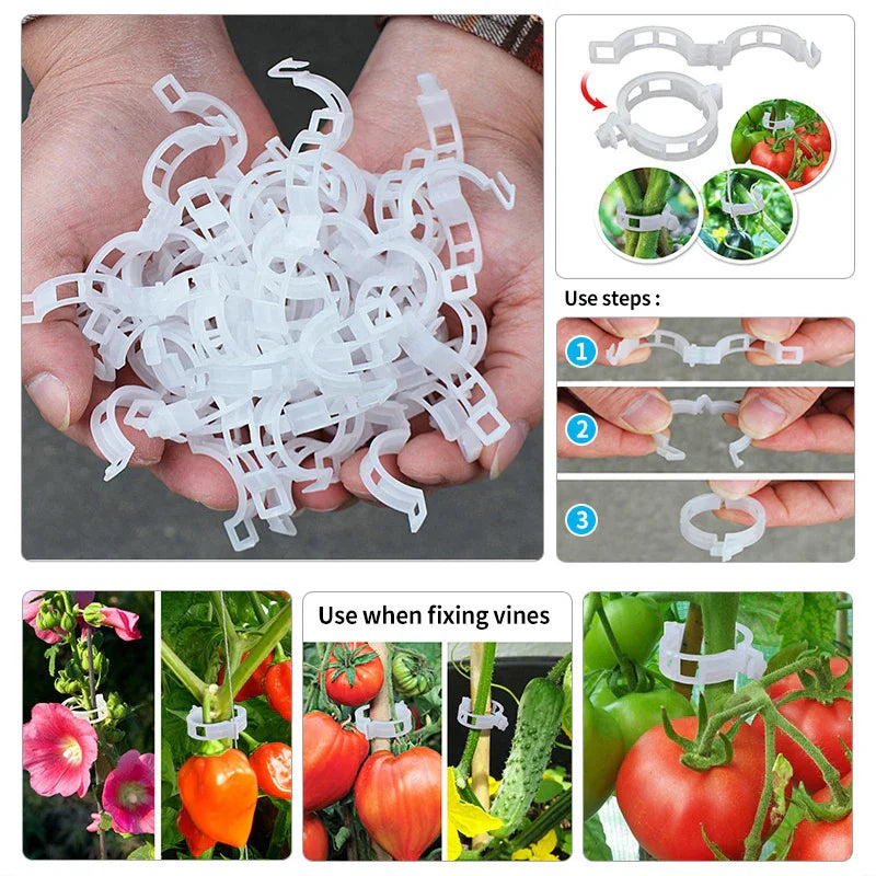 Plastic clamps for plant support | Grafting and fixing tool! | Stornfield