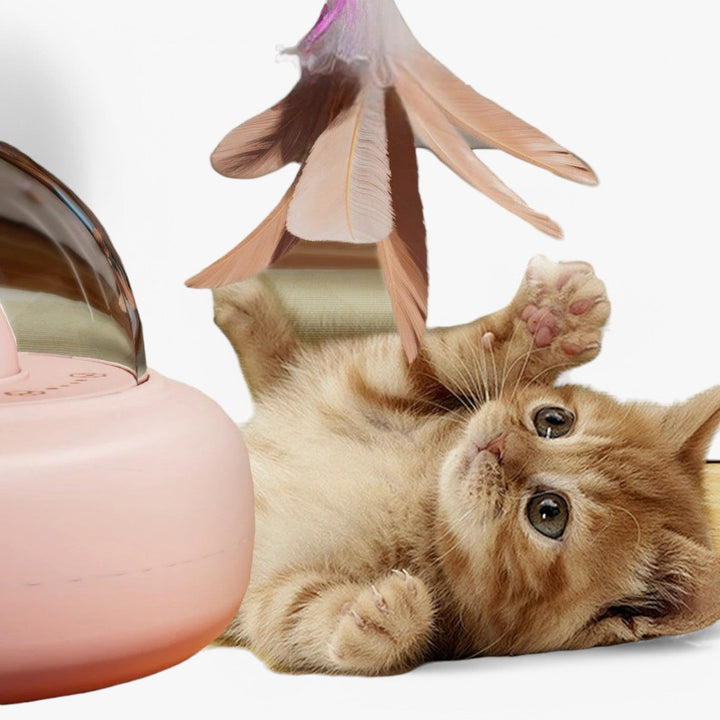 Smart Cat Laser "Hunting Light" with Rainbow Function and USB Charging Function | Stornfield