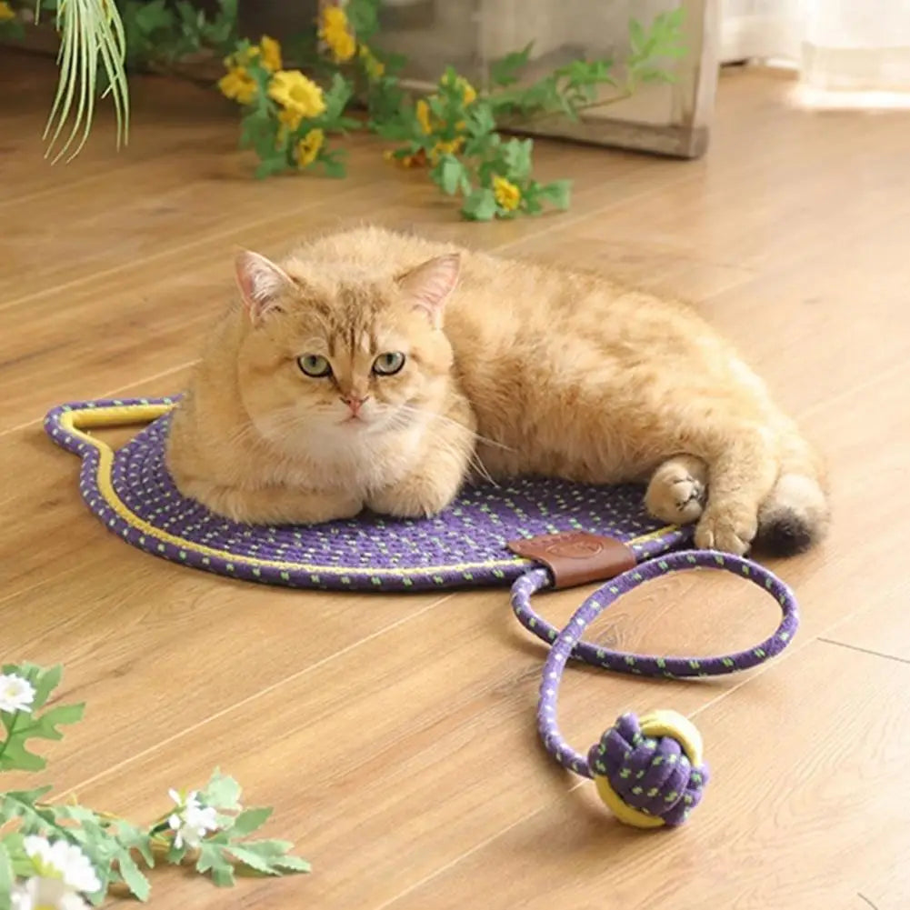 2-in-1 Cat Scratching Carpet & Play Mat Stornfield