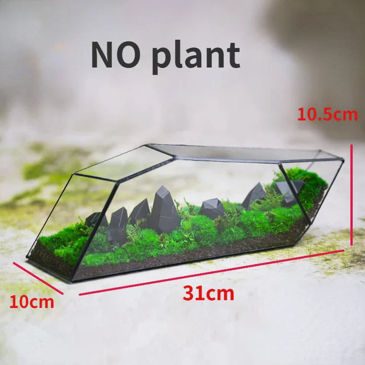 Geometric Glass Moss Planter Terrarium Vase | Stornfield