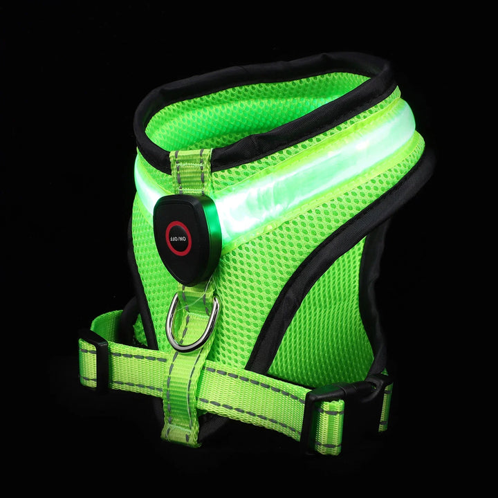 LED Dog Harness USB Rechargeable & Adjustable Stornfield