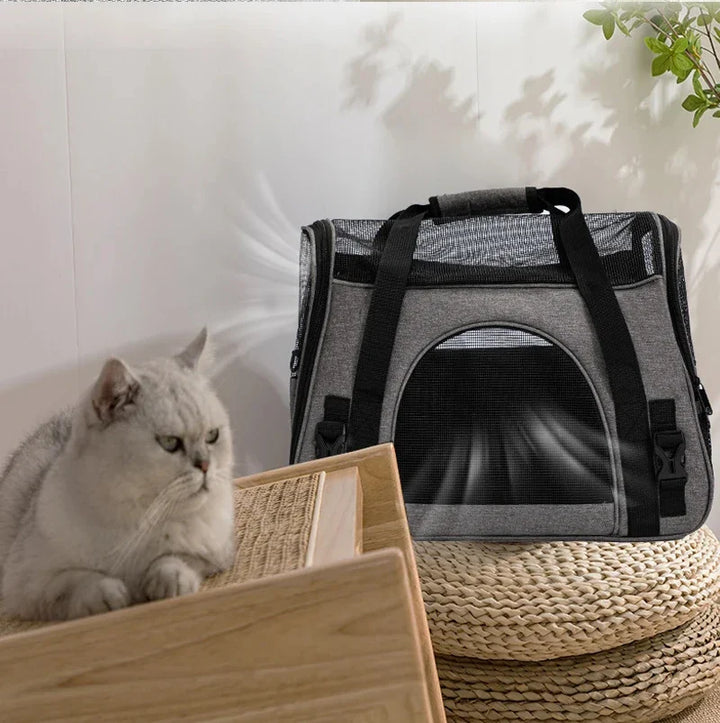 Foldable Pet Carrier for Travel Stornfield