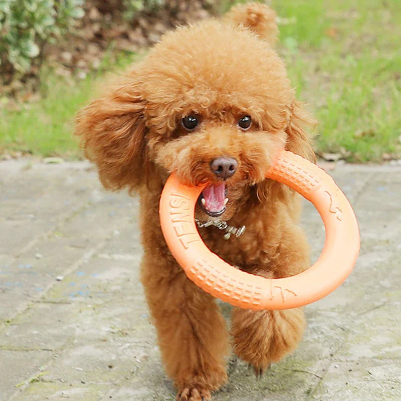 Floating EVA Training Ring for Dogs Stornfield