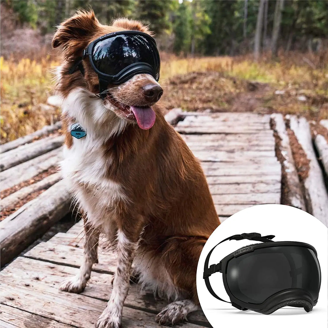 Stornfield adjustable windproof dog sunglasses with UV protection