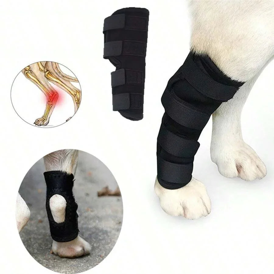 Joint support for dogs stabilizing & protecting Stornfield