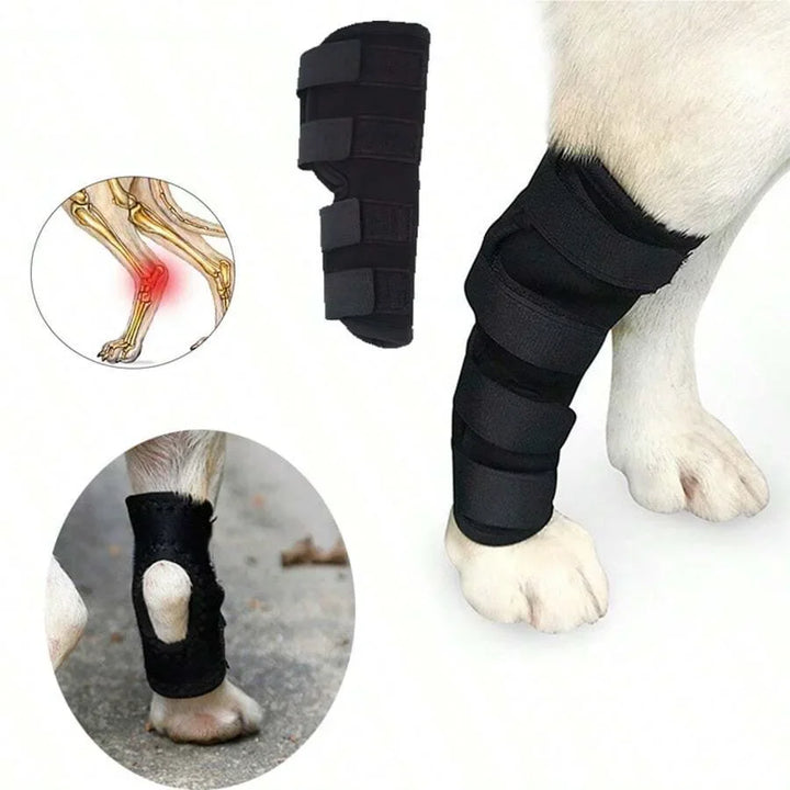 Joint support for dogs stabilizing & protecting Stornfield