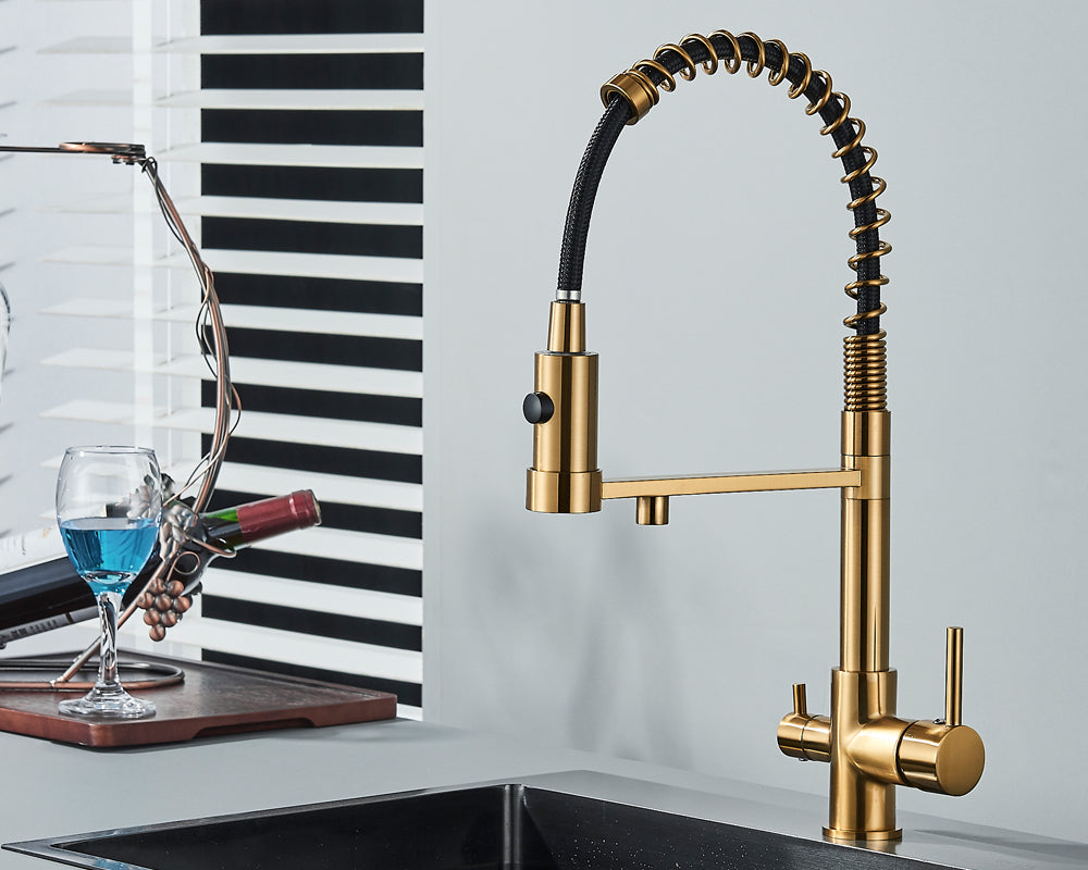 Sandsberg Black Filter Kitchen Faucet with Dual Outlet – Mixing Tap with Water Filter for Kitchens, Water Treatment and Cleaning | Stornfield