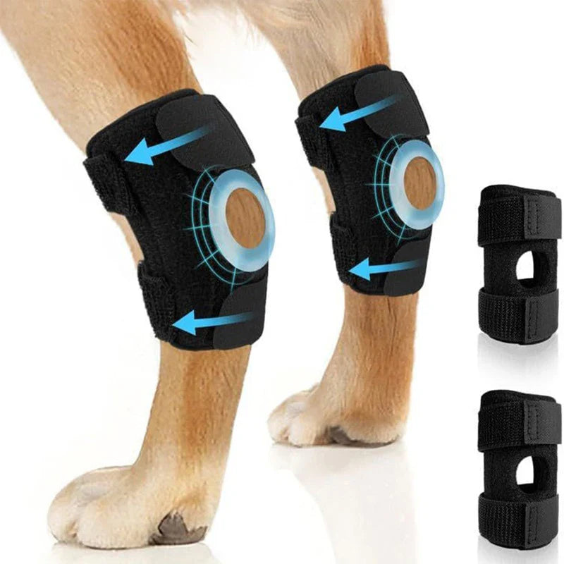 Orthopedic joint brace for dogs stabilizing Stornfield