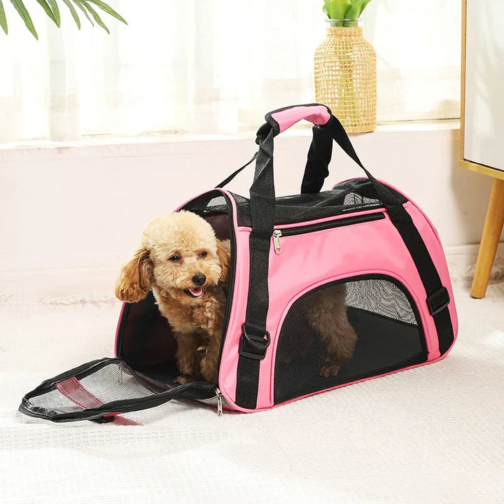 Foldable Pet Carrier for Travel Stornfield