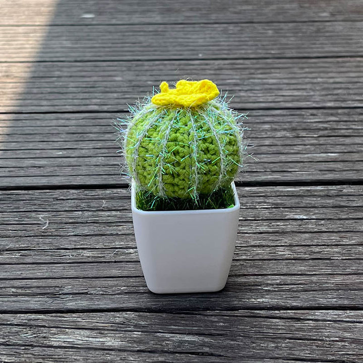 Cactus Plant (Hand-Knitted)
