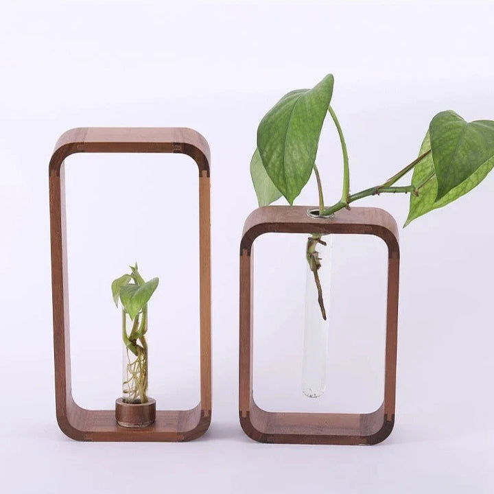 Stornfield Hollow Plant Propagator