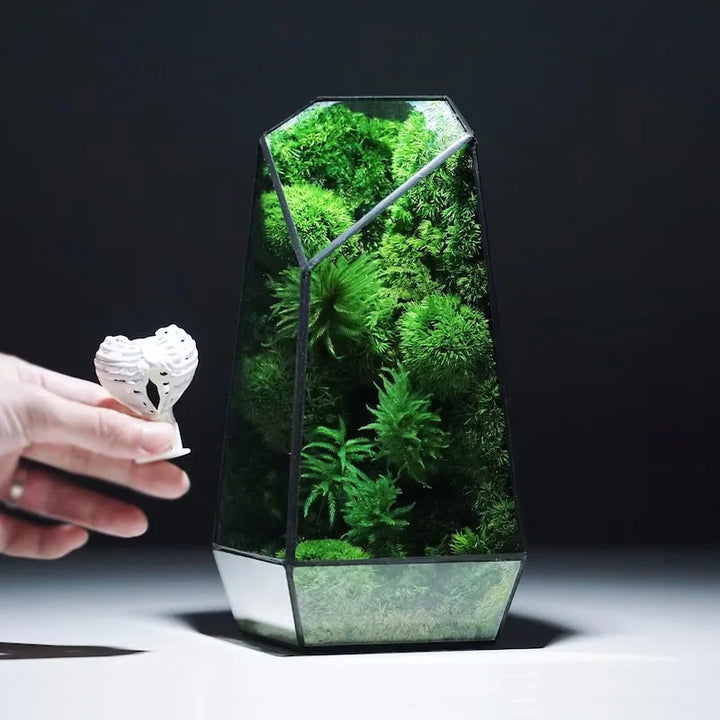 Modern Geometric Nature-Inspired Botanical Terrarium | Stornfield