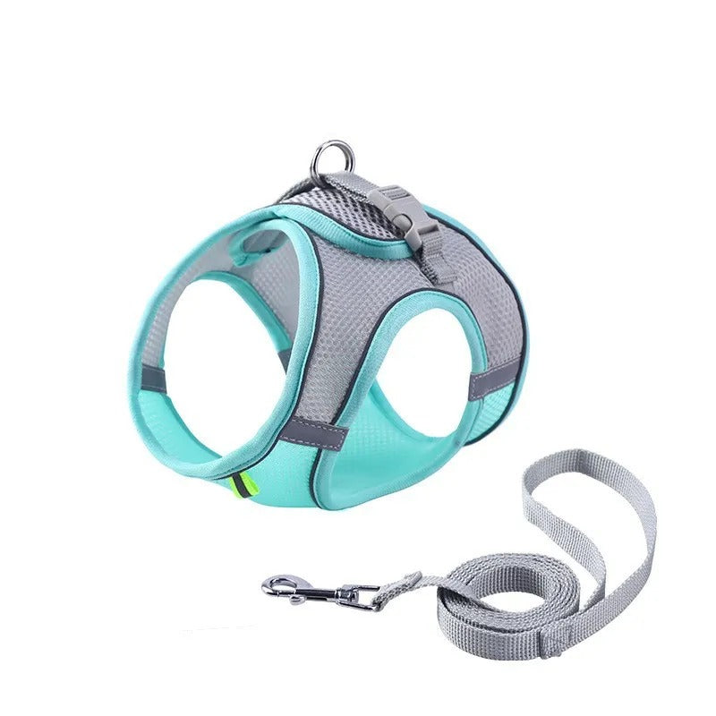 Adventurous Cat Harness with Leash – Adjustable and Reflective | Stornfield