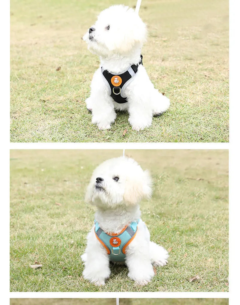 Breathable, adjustable & comfortable Stornfield dog harness