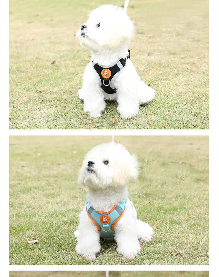 Breathable, adjustable & comfortable Stornfield dog harness