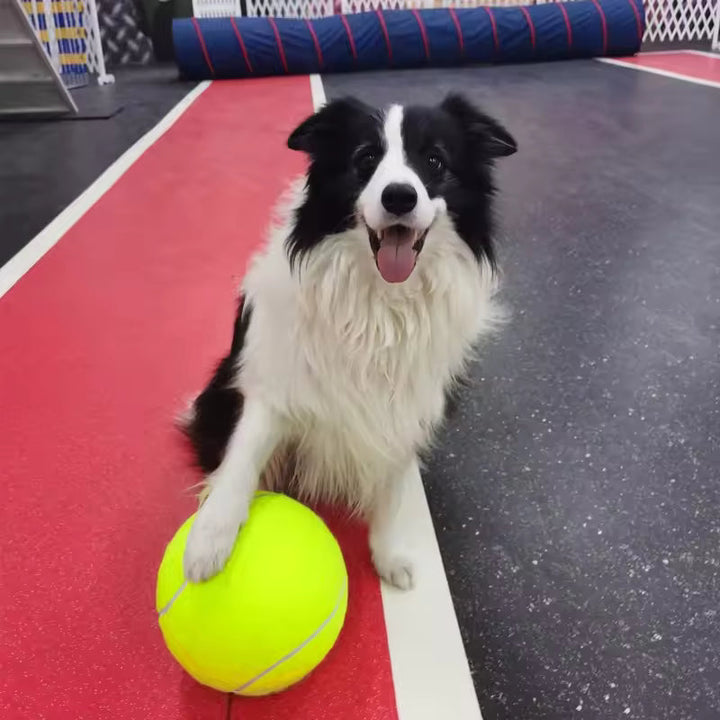 Stornfield extra-large dog tennis ball