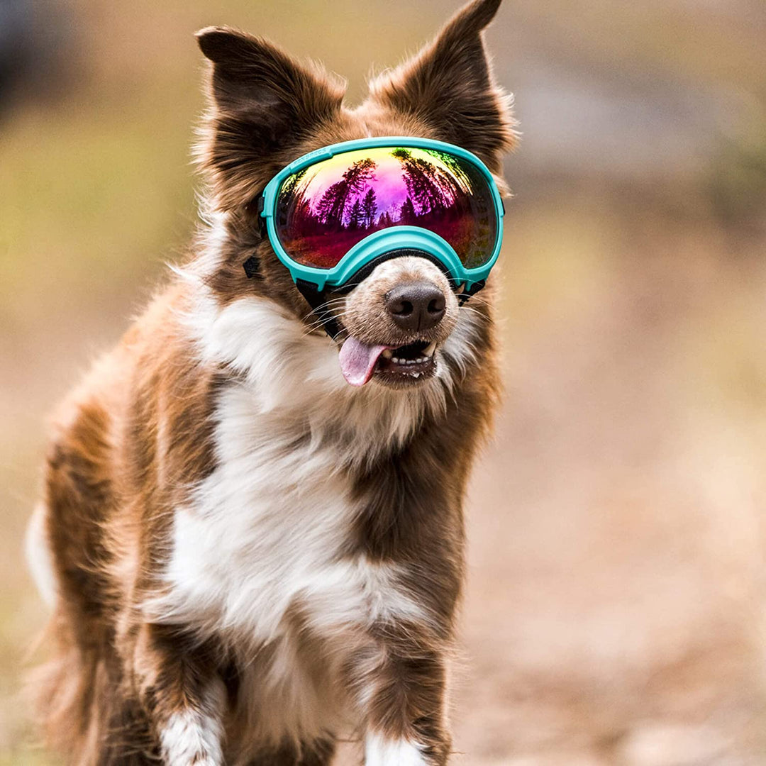 Stornfield adjustable windproof dog sunglasses with UV protection