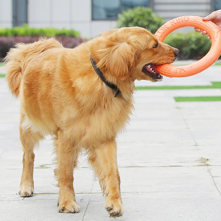 Floating EVA Training Ring for Dogs Stornfield