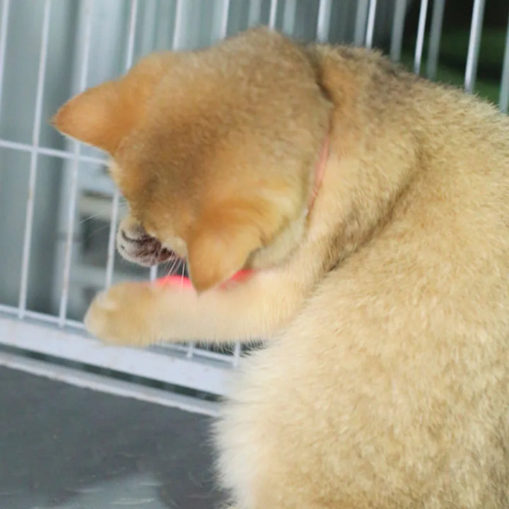 Freesthetic Laser Collar for Cats Stornfield
