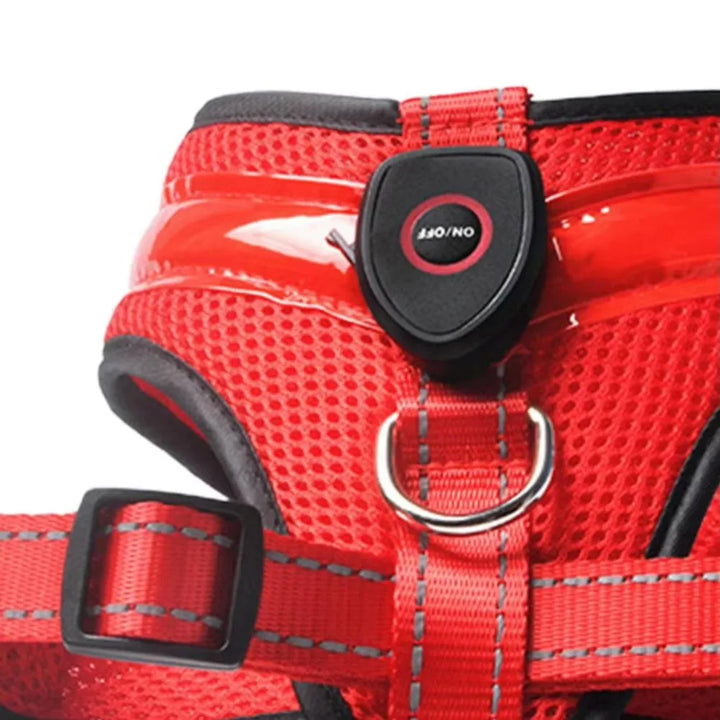 LED Dog Harness USB Rechargeable & Adjustable Stornfield