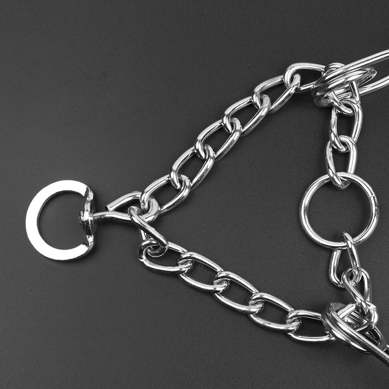 Stornfield | Dog Pincher Collar - Stylish B