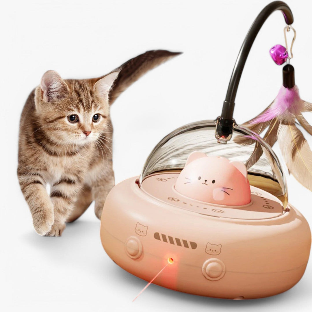 Smart Cat Laser "Hunting Light" with Rainbow Function and USB Charging Function | Stornfield