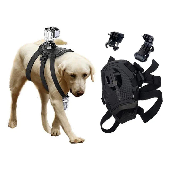 Stornfield 360° Perspective Action Camera Dog Harness