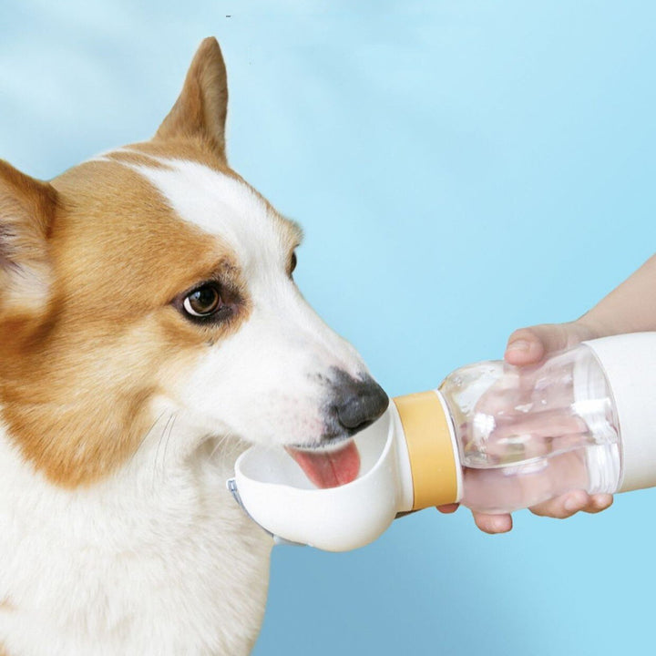 2in1 Smart Pet Portable Water Bottle Feeder | Stornfield