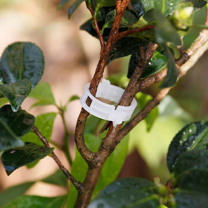 Green Garden Safe Plant Support Clips | Stornfield