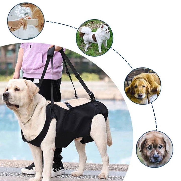 Reha-Dog Harness with Sturdy Carrying Handle Stornfield