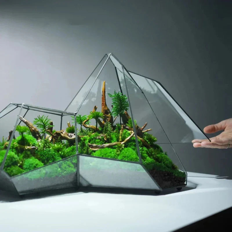 Geometric Glass Moss Planter Terrarium Vase | Stornfield