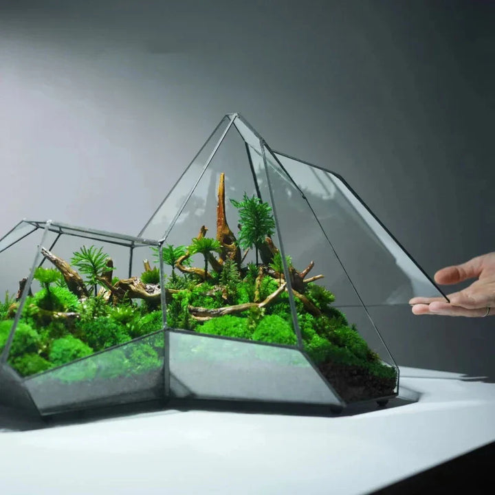 Geometric Glass Moss Planter Terrarium Vase | Stornfield
