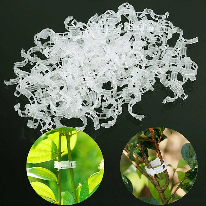 Plastic clamps for plant support | Grafting and fixing tool! | Stornfield