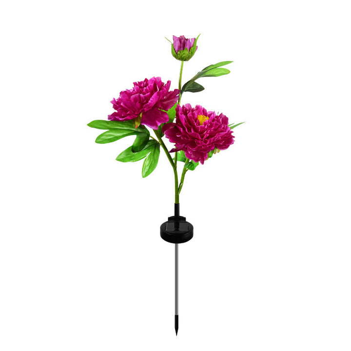 Contemporary Creative Solar Peony Flower LED Waterproof Lawn Landscape Insert Light For Outdoor Patio | Stornfield