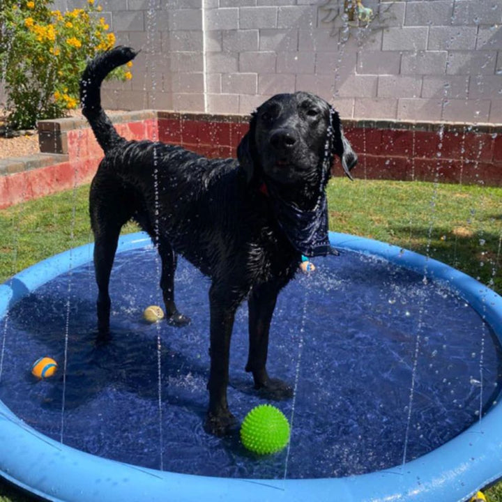 Stornfield | Paws and Play Splash Pad
