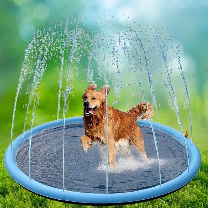 Stornfield | Paws and Play Splash Pad