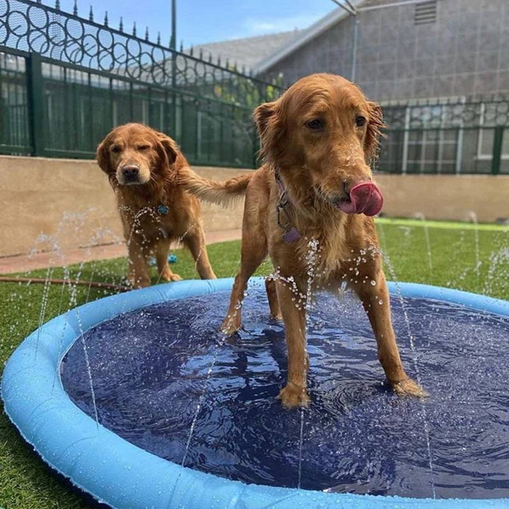 Stornfield | Paws and Play Splash Pad