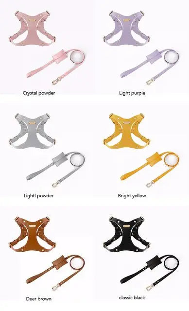 Adjustable Leather Dog Harness with Custom Engraving Stornfield