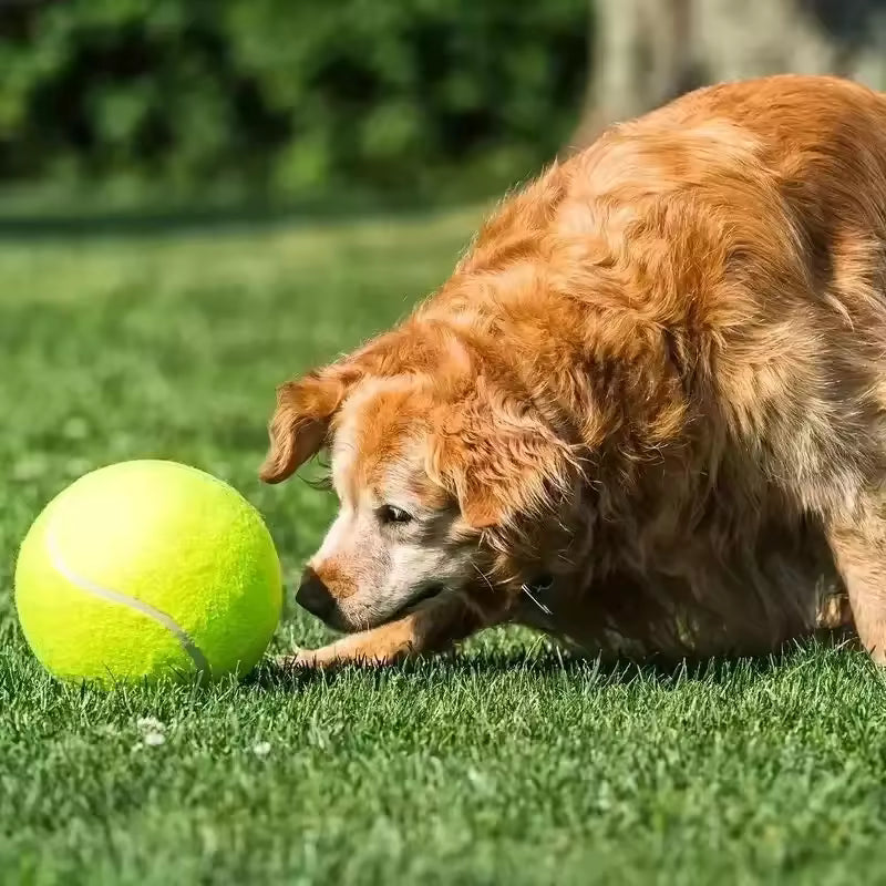 Stornfield extra-large dog tennis ball