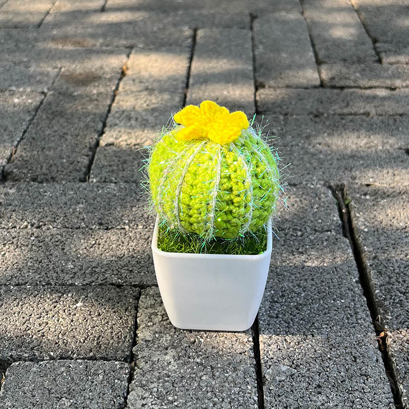 Cactus Plant (Hand-Knitted)