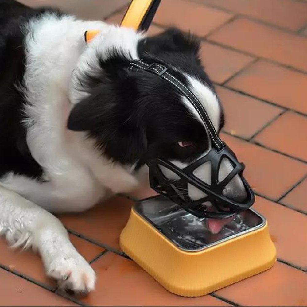 SafeBark Dog Muzzle – Effective Anti-Bite and Anti-Bark Solution, Breathable and Comfortable | Stornfield